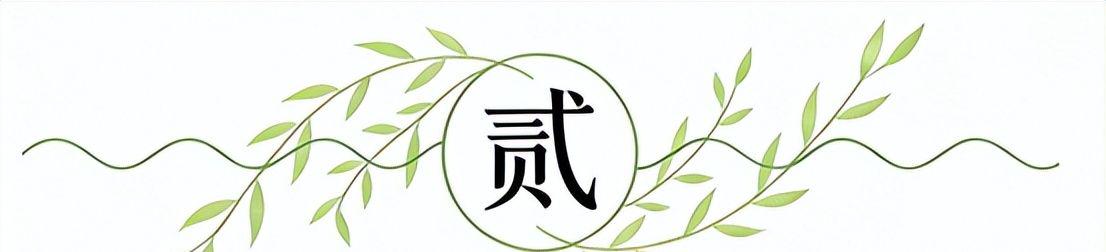 大爹杨瀚森,让中国男篮有了容错空间